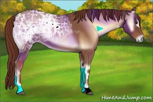 Horse Color:Red Onyx Ice
