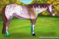 Horse Color:Red Onyx Ice 