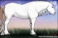 Horse Color:Grullo Appaloosa 