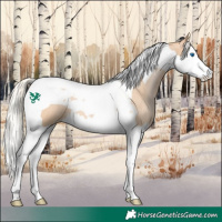 Horse Color:Silver Brown Roan Pearl Dun Splash Tobiano 