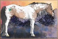 Horse Color:Bay Dun Tobiano 