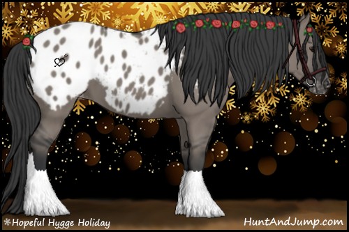 Horse Color:Grullo Appaloosa 