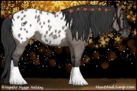 Horse Color:Grullo Appaloosa