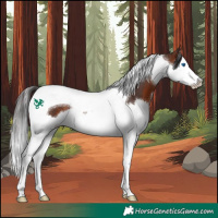 Horse Color:Bay Splash Tobiano 