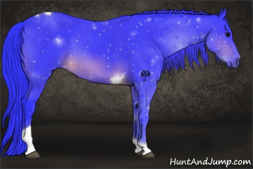 Horse Color:Watercolor Brown Tobiano 