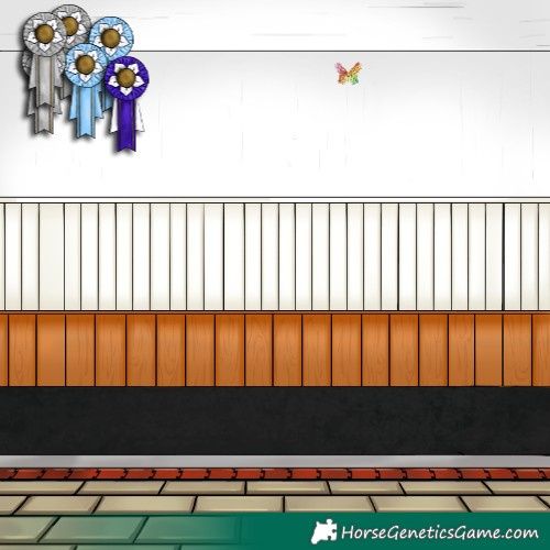 Horse Color:Brown Rabicano 