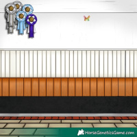 Horse Color:Brown Rabicano 