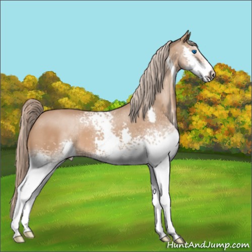 Horse Color:White Spotted Chestnut Splash