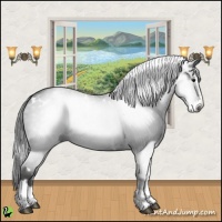 Horse Color:Gray White Spotted Smoky Black Splash 