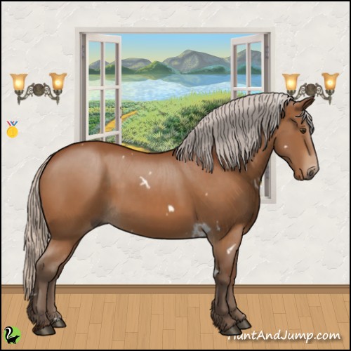 Horse Color:White Spotted Silver Buckskin