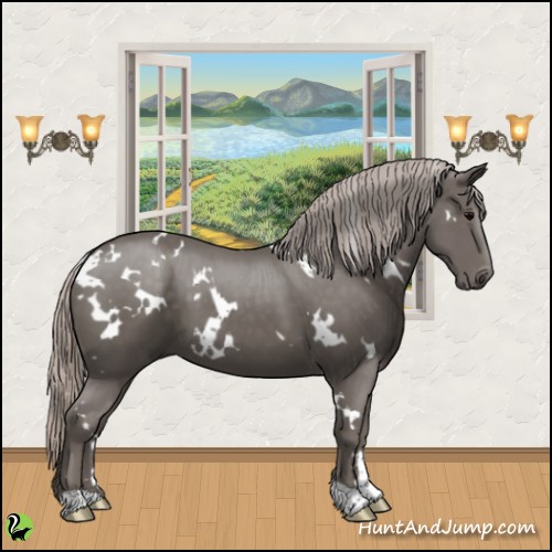 Horse Color:White Spotted Silver Black 