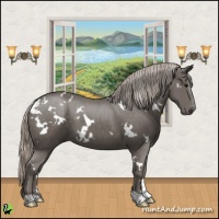 Horse Color:White Spotted Silver Black 