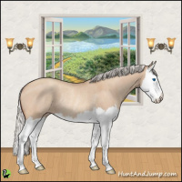 Horse Color:Silver Sable Champagne Dun Splash Rabicano 