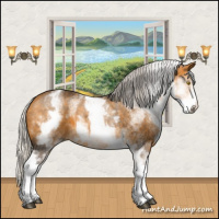 Horse Color:White Spotted Silver Buckskin 