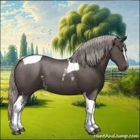 Horse Color:White Spotted Silver Black Tobiano 