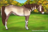 Horse Color:Red Onyx Roan Tobiano 