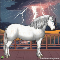 Horse Color:White Spotted Palomino Pearl Dun Sabino Near Leopard 