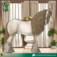 Horse Color:Buckskin Pearl Dun 