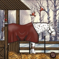 Horse Color:Liver Red Dun Appaloosa