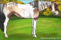 Horse Color:Bay Onyx Tobiano 