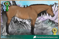 Horse Color:Gray Bay Dun Rabicano