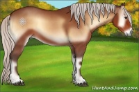 Horse Color:Silver Bay Onyx 