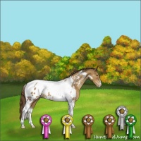 Horse Color:Classic Cream Champagne Tobiano Near Leopard 