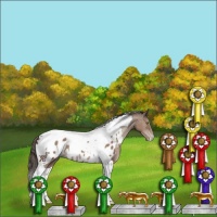 Horse Color:Classic Champagne Tobiano Appaloosa
