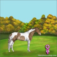 Horse Color:Chocolate Palomino Tobiano Rabicano