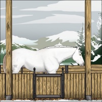 Horse Color:Gray Gold Champagne 