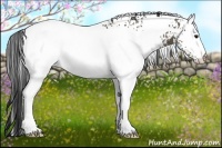 Horse Color:White Spotted Buckskin