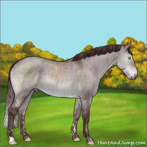 Horse Color:Platinum Chocolate Brown Dun Brindle and Platinum Chocolate Brown Dun Brindle