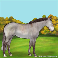 Horse Color:Platinum Chocolate Brown Dun Brindle  and Platinum Chocolate Brown Dun Brindle 