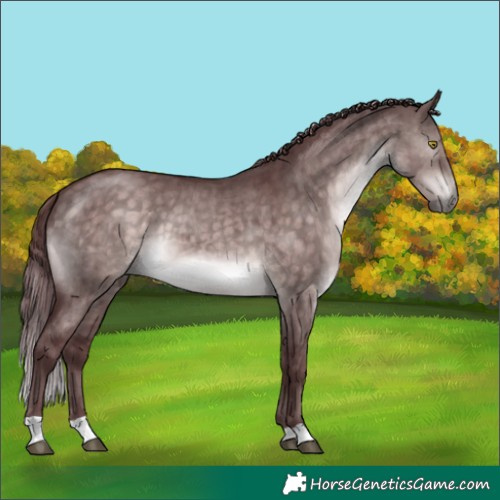 Horse Color:Platinum Chocolate Brown Dun Brindle 