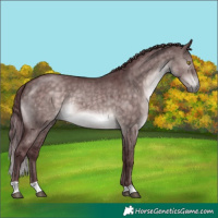 Horse Color:Platinum Chocolate Brown Dun Brindle 