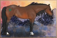 Horse Color:Brown Rabicano 