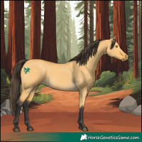 Horse Color:Buckskin Dun Mushroom
