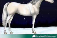 Horse Color:Silver Amber Cream Champagne Dun Sabino Tobiano