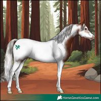 Horse Color:Silver Bay Sabino Tobiano Frame Rabicano 
