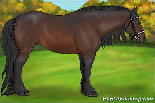 Horse Color:Brown 