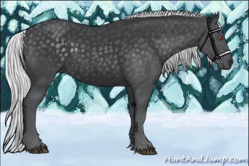 Horse Color:Silver Black Chinchilla