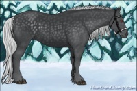 Horse Color:Silver Black Chinchilla 