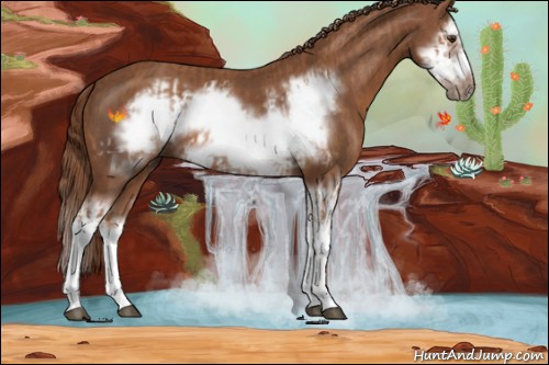 Horse Color:Chestnut Splash Frame  and Chestnut Splash Frame 