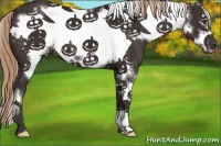 Horse Color:White Spotted Liver Chestnut Frame