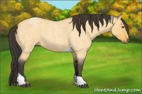 Horse Color:Buckskin Roan Dun Tobiano 