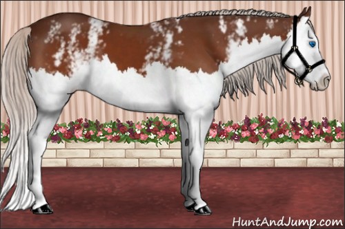Horse Color:White Spotted Silver Brown Splash 