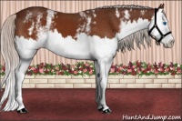 Horse Color:White Spotted Silver Brown Splash 