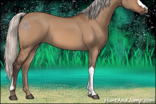 Horse Color:Silver Bay Dun