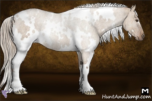 Horse Color:White Spotted Red Dun Roan Rabicano 
