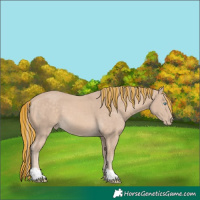 Horse Color:Painted Perlino